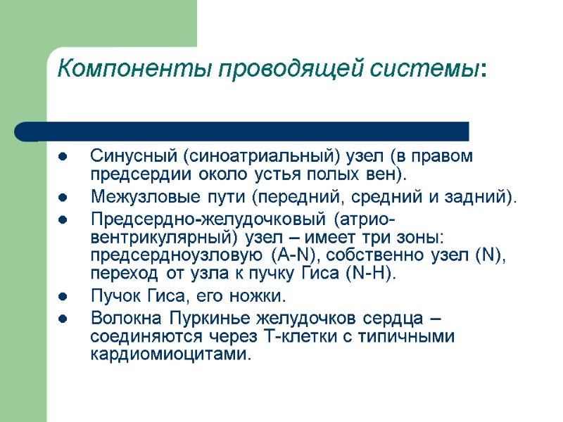 Компоненты проводящей системы:  Синусный (синоатриальный) узел (в правом предсердии около устья полых вен).